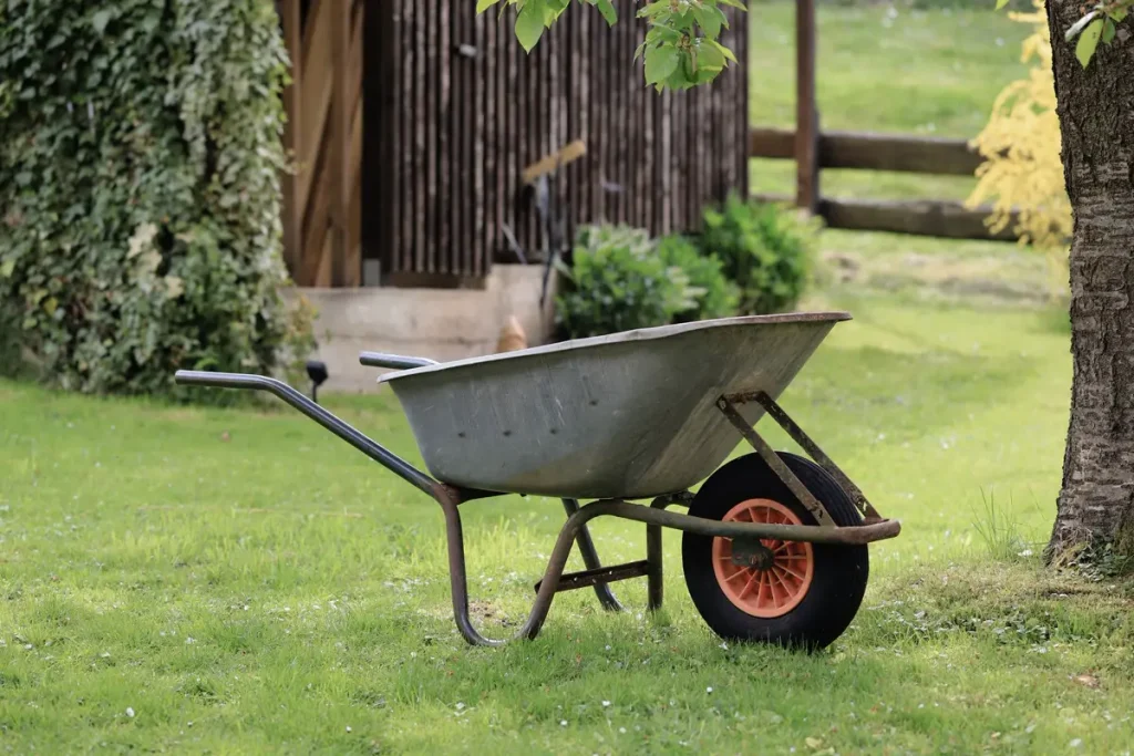 Garden Maintenance — Gardening Guider