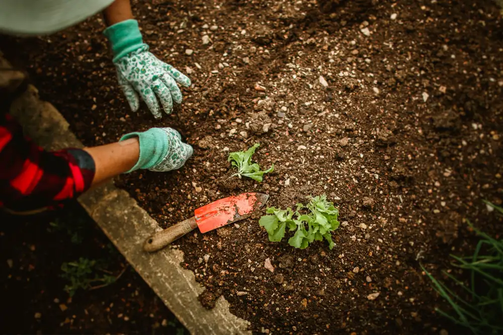 Gardening Gear — Gardening Guider