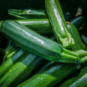 How to Grow Zucchini (For a Summer-Long Harvest)