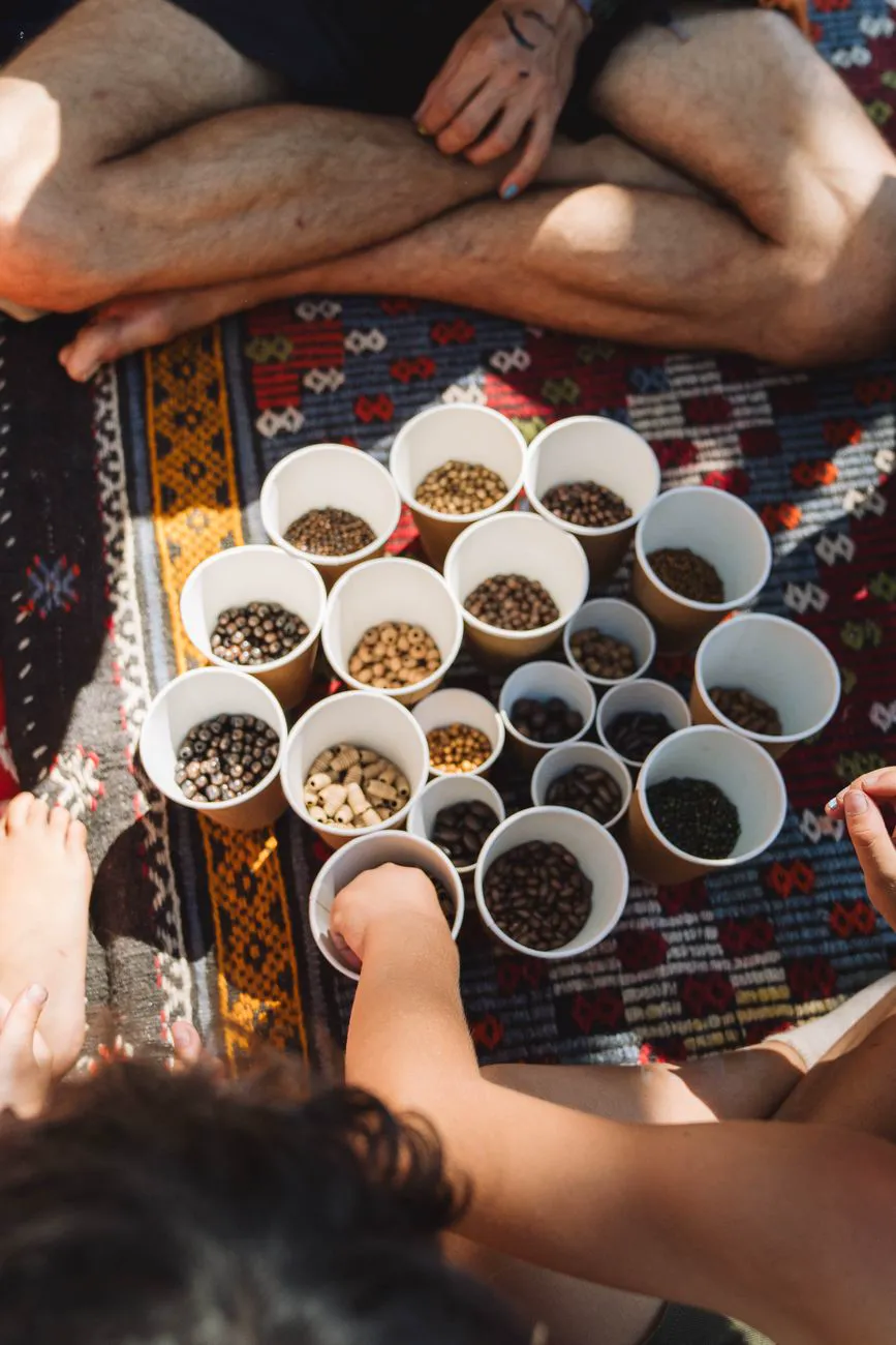 A variety of seeds displayed in cups on a patterned rug with people.