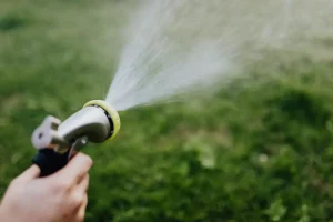 Lawn Feeding Schedule