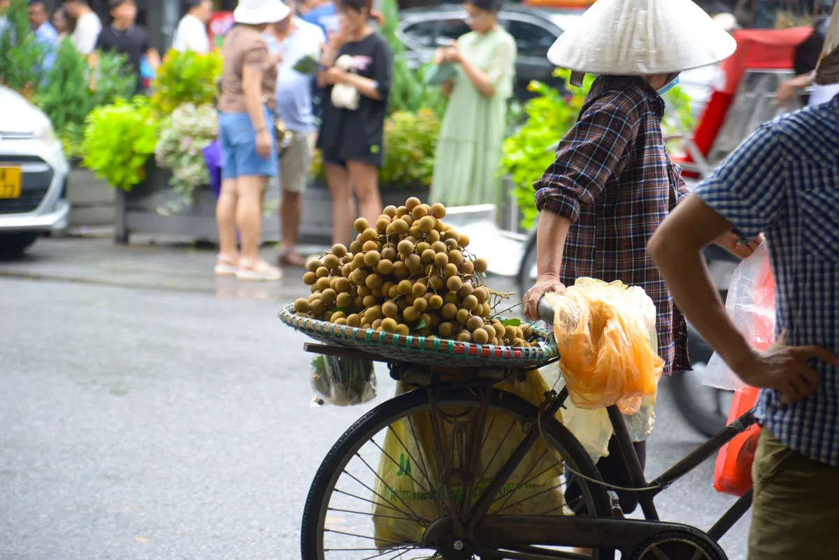 Street vendor selling fresh longan clusters from a basket on a bicycle in Vietnam