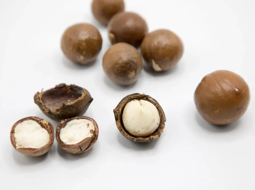 Whole and cracked macadamia nuts showing creamy white kernels on a white background