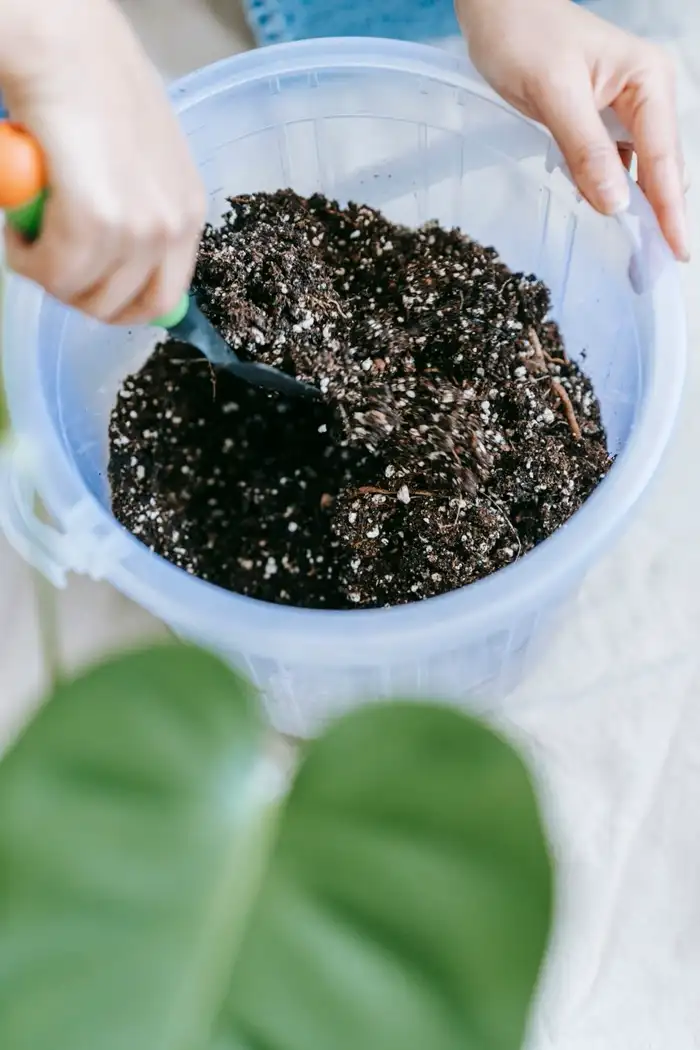 Mixing a homemade potting blend in a plastic tub.
