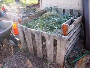 Organic Fertilizers: A Complete Beginner’s Guide