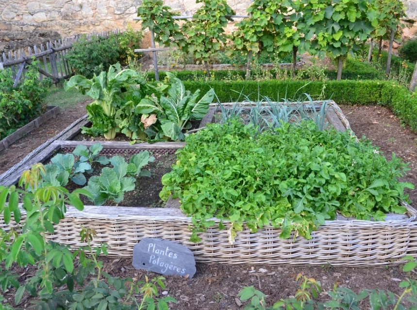 Organic Gardening