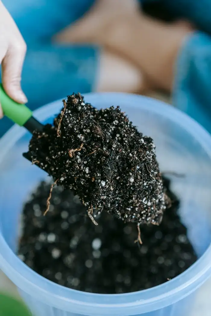 Trowel of fresh potting mix flecked with perlite.