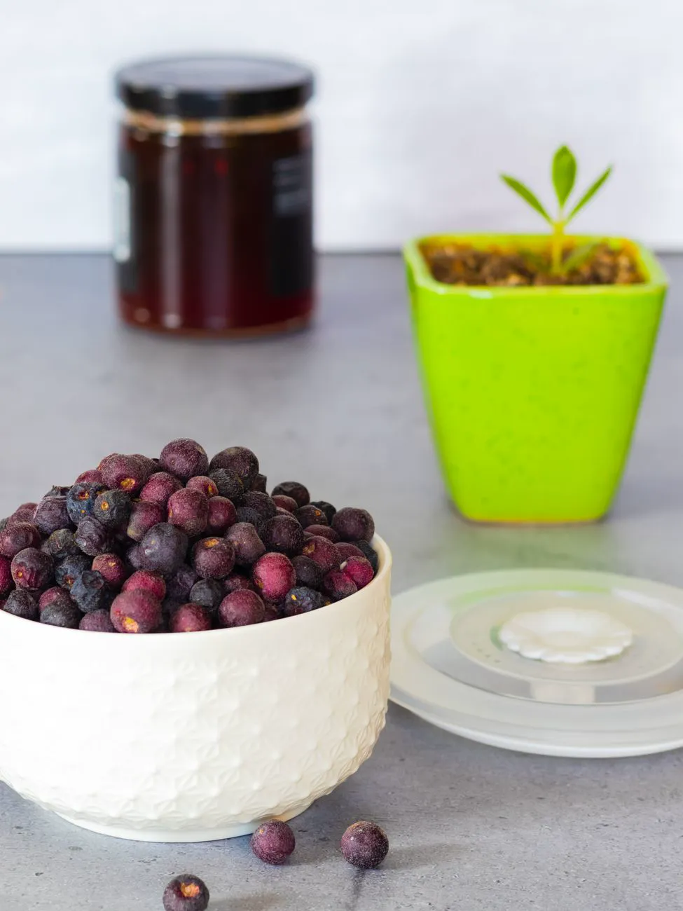 Bowl of fresh phalsa berries on a table with a plant and jar in the background.