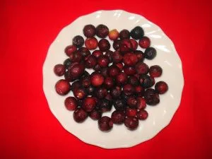 How to Grow Phalsa (Sherbet Berry)