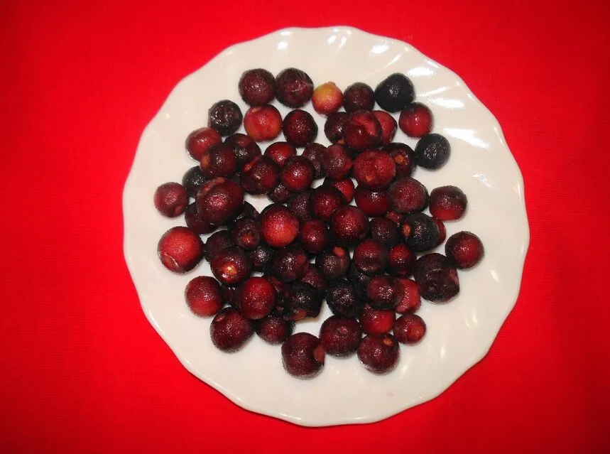 Phalsa