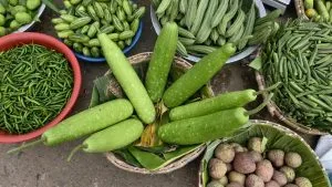 How to Grow Pointed Gourd (Parwal)