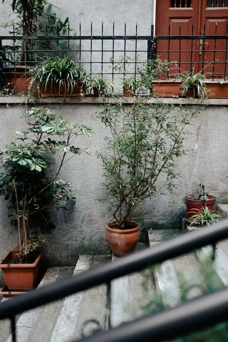 Potted plants arranged up garden steps to use vertical space.