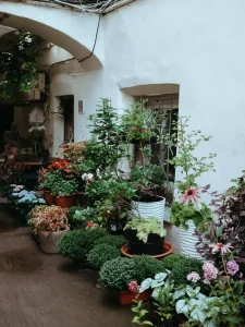 Small Garden Design Ideas