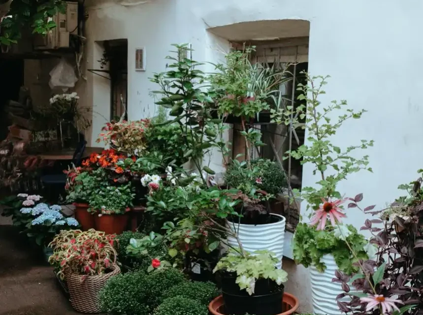 Small garden design ideas — small courtyard garden packed with layered container plants