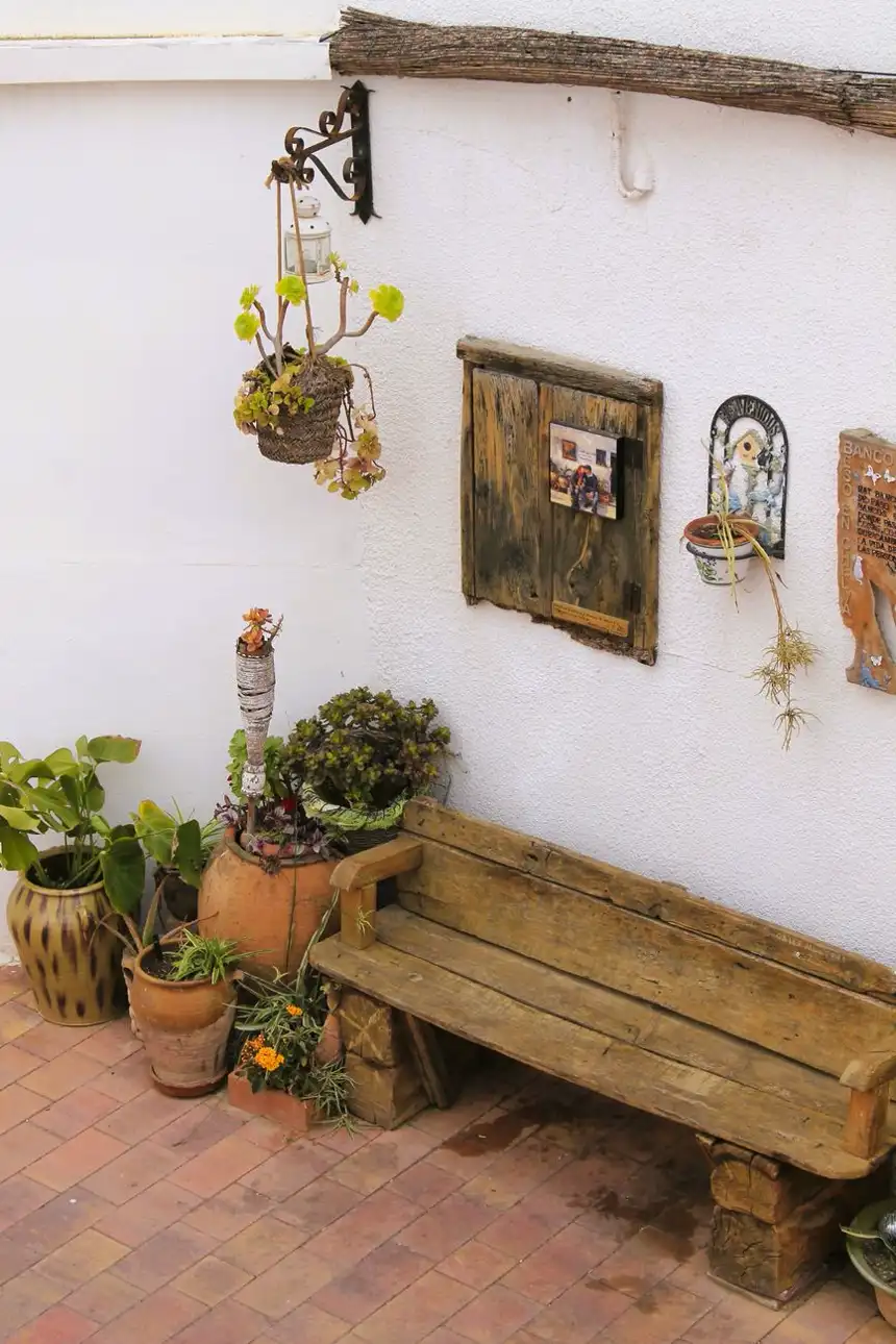 Rustic bench and container plants forming a small garden seating zone.