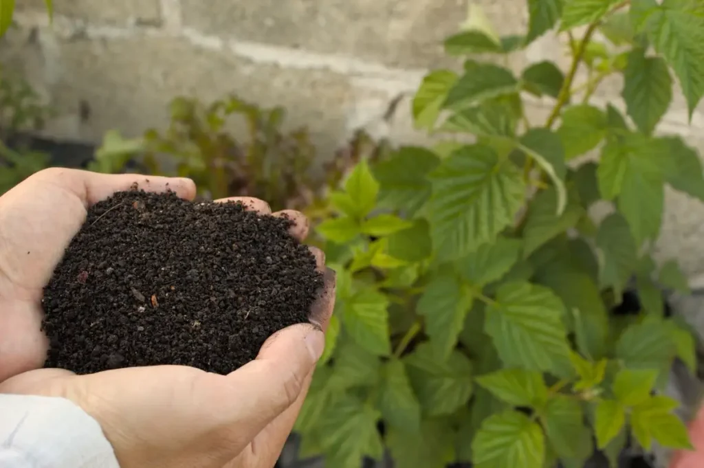 Soil & Compost — Gardening Guider