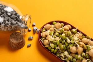 How to Grow Sprouts
