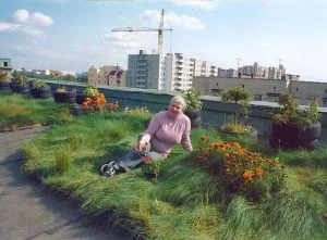 Terrace Gardening in India: A Complete Beginner’s Guide