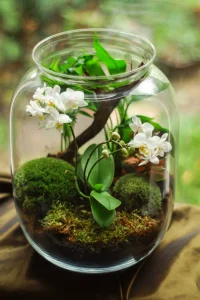 How to Make a Terrarium