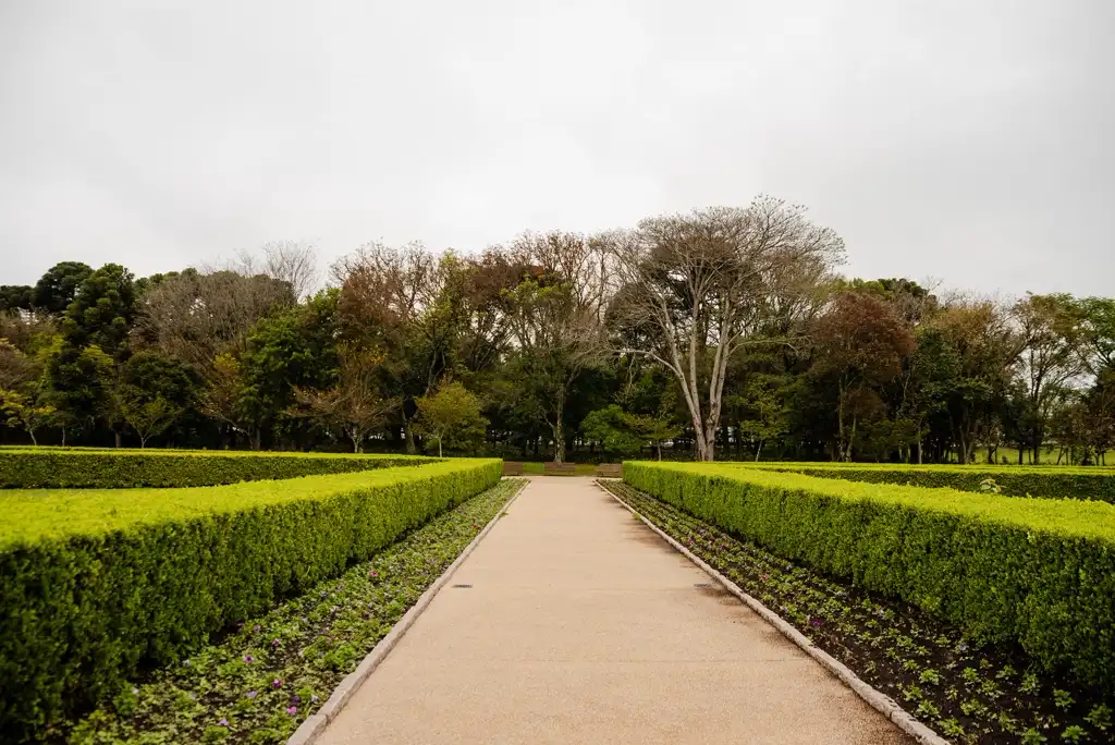 Trees & Shrubs — Gardening Guider