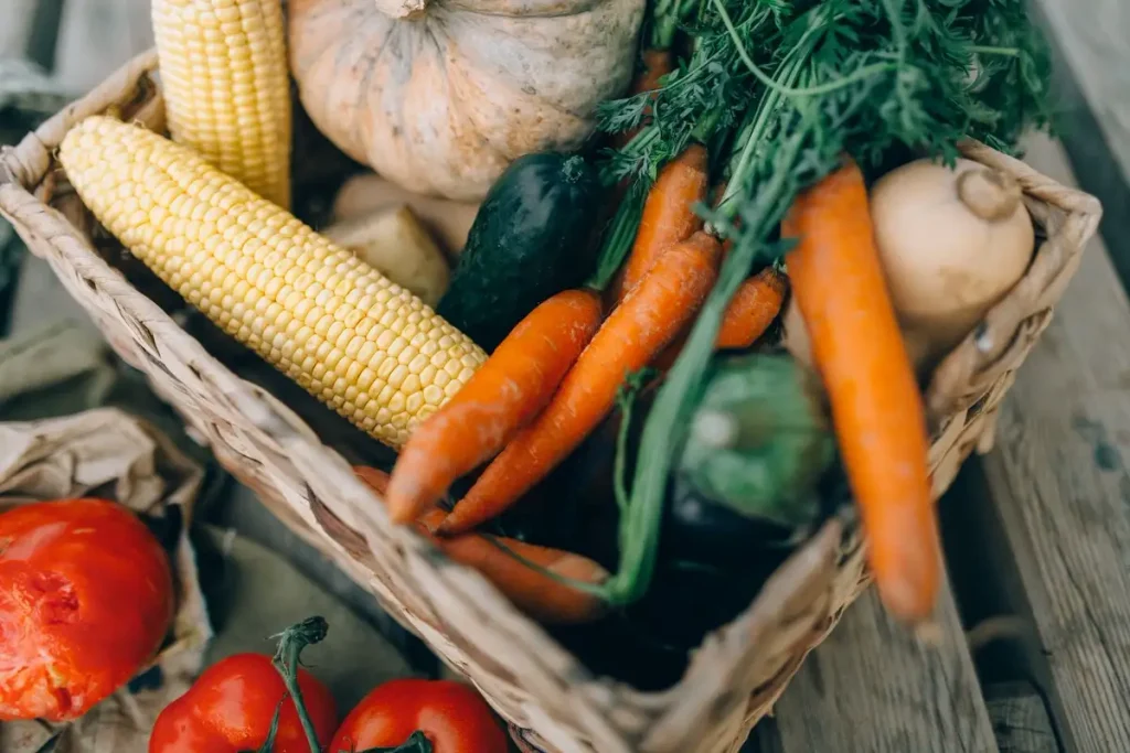 Vegetables — Gardening Guider