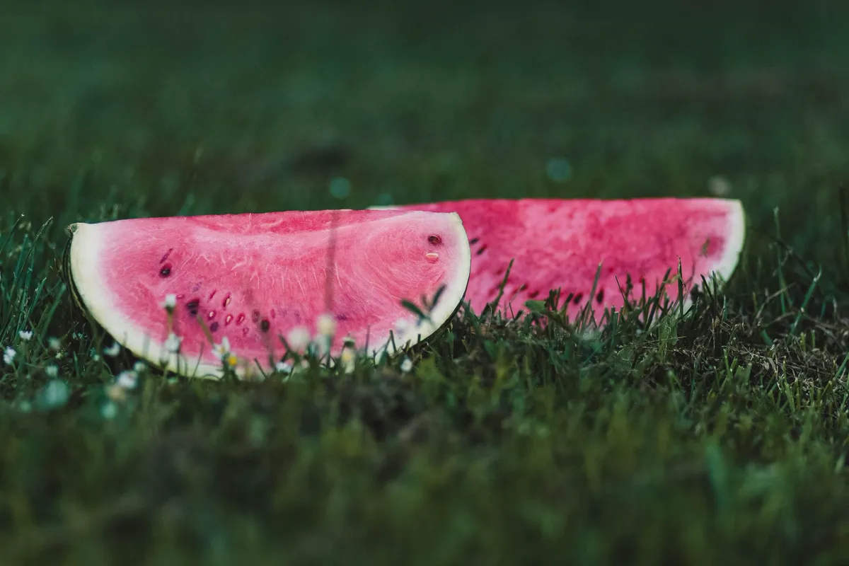 Two ripe watermelon slices lying on green grass.