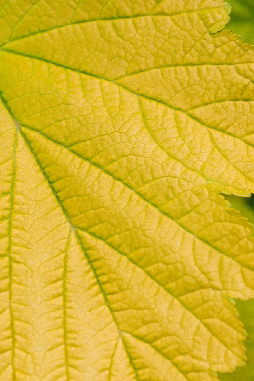 Detailed macro shot of a yellow leaf.