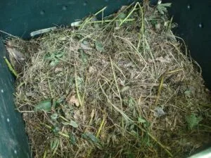 How to Improve Garden Soil (Clay, Sandy & Tired Soil)