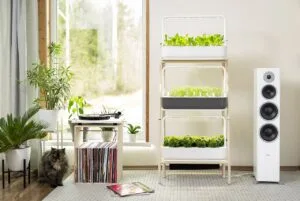 How to Use Grow Lights for Indoor Plants (Beginner Guide)