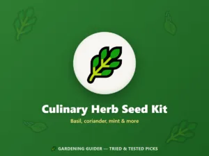 Culinary Herb Seed Kit