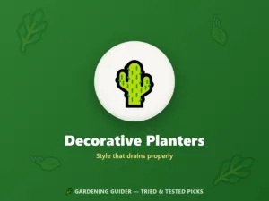 Decorative Planters