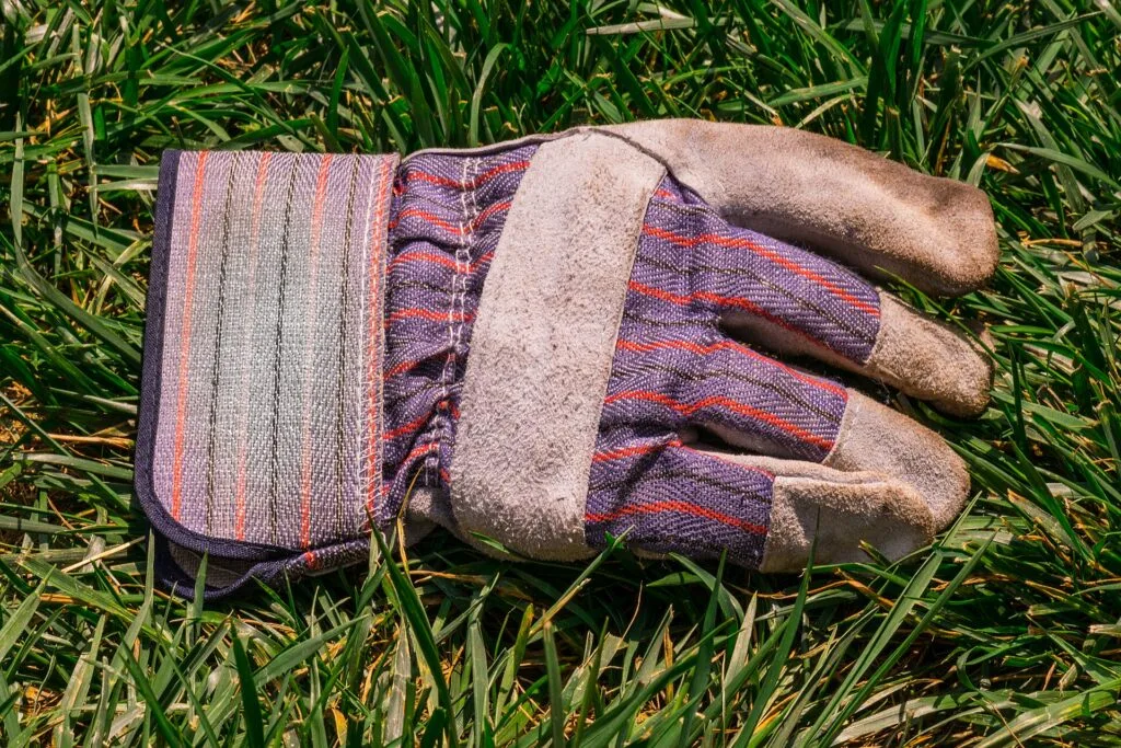Sturdy leather-palm gardening gloves lying on garden grass