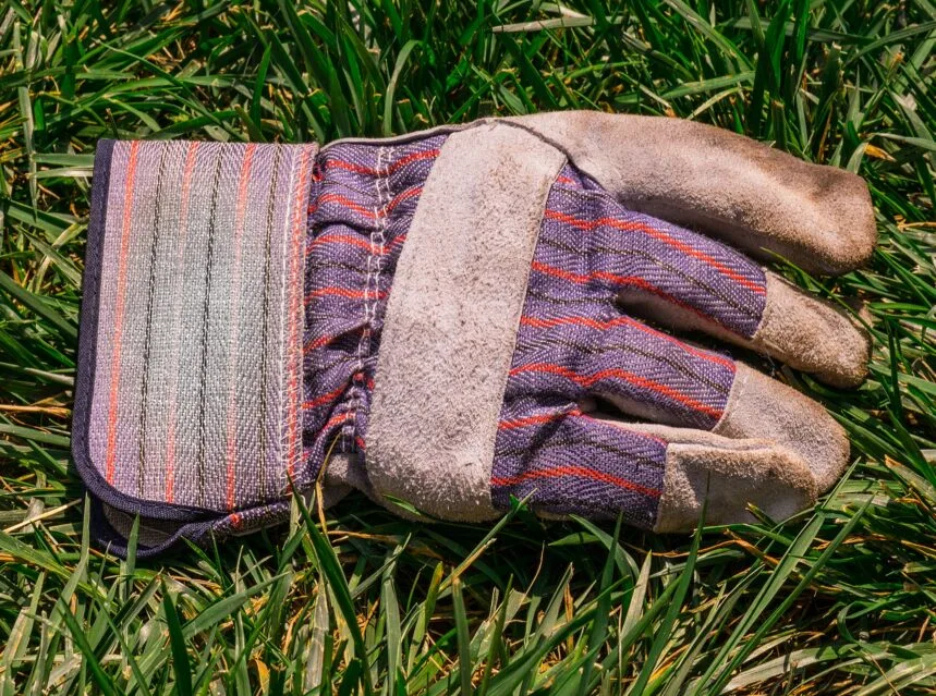 Sturdy leather-palm gardening gloves lying on garden grass