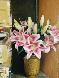 Are Lilies Toxic to Cats? Yes, a Deadly Emergency Explained