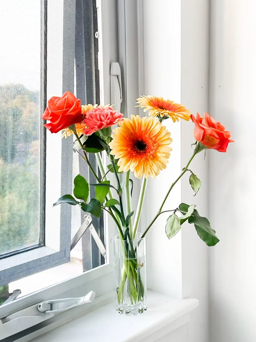 Vase of cat-safe roses and gerbera daisies on a table indoors