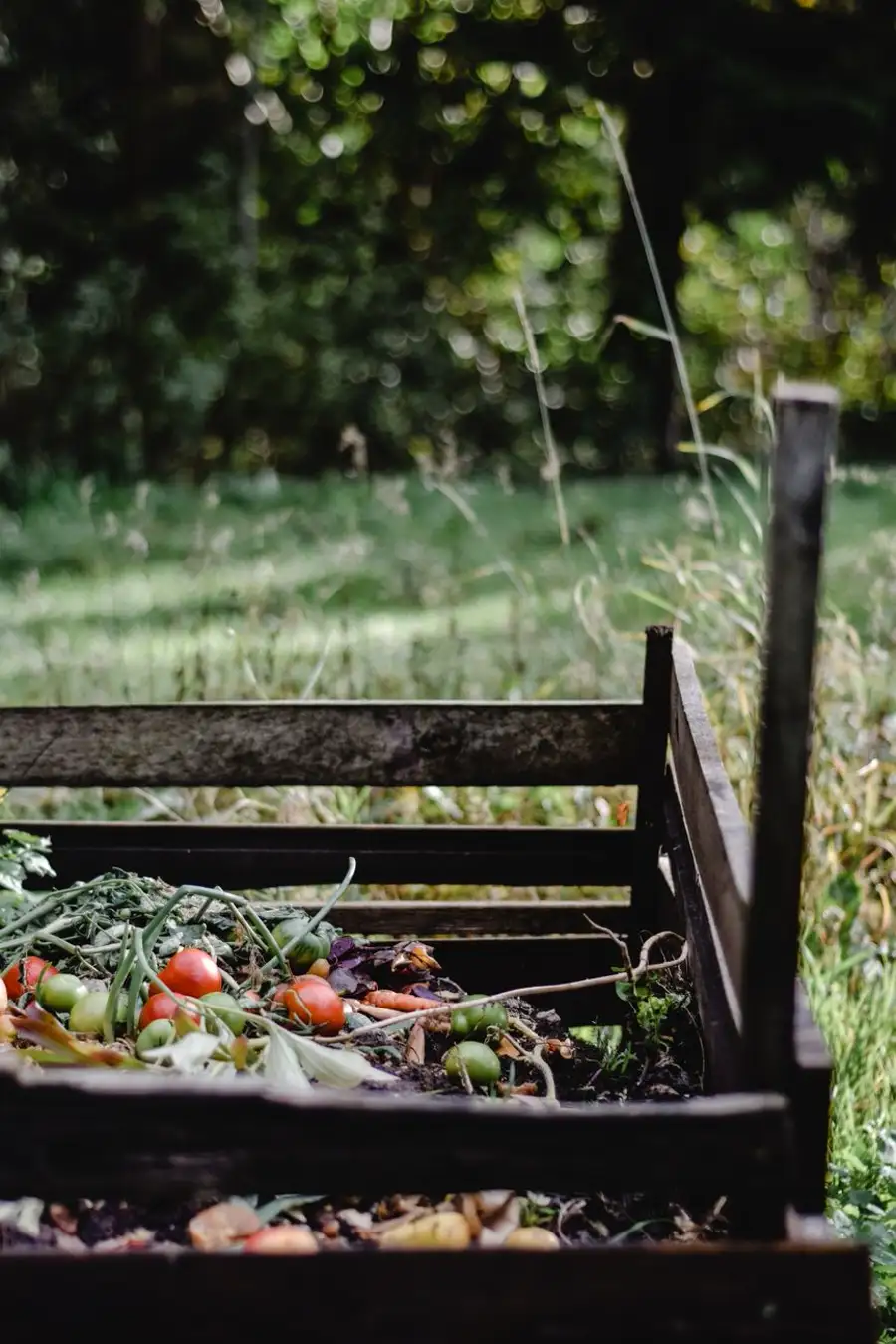 Wooden compost bin filled with fresh vegetable scraps in a garden
