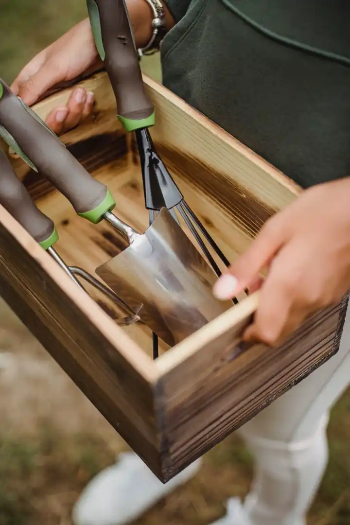 Hands carrying a wooden crate holding trowel, fork and cultivator