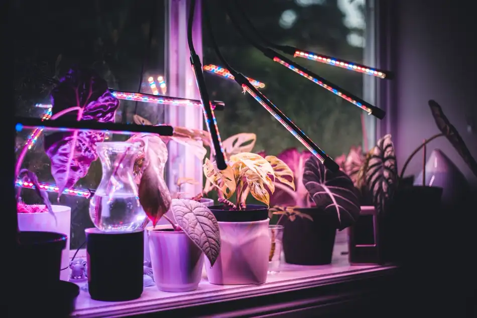 Flexible clip-on grow light bars angled over potted plants by a window