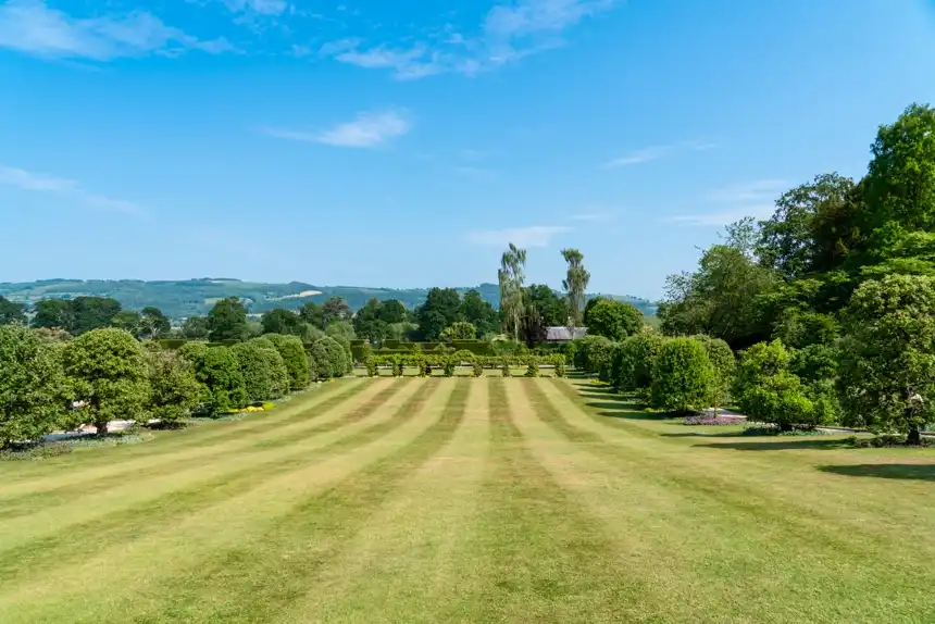 Striped formal lawn flanked by clipped trees on a sunny day