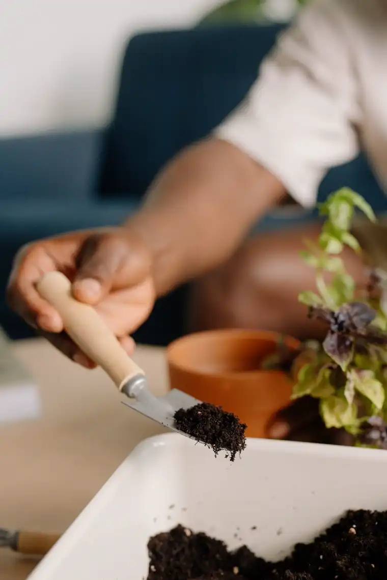 Hand trowel scooping dark compost over a potting tray