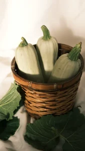 Squash Seeds