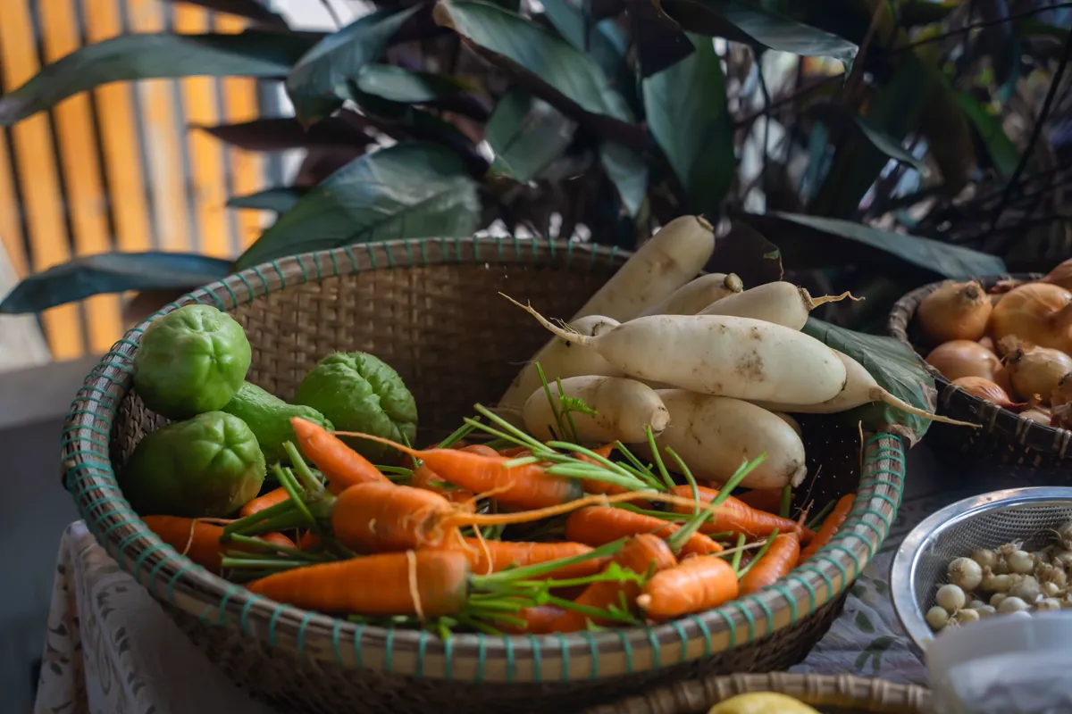 Basket of freshly harvested carrots, radishes and other vegetables