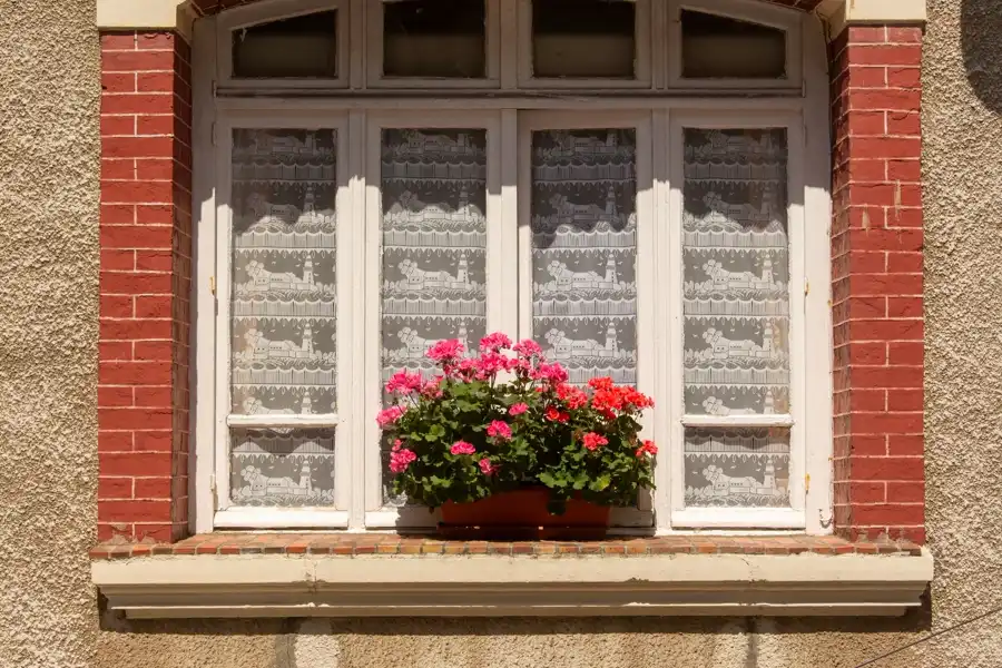 Geranium-filled window box on a sunny brick-framed cottage window