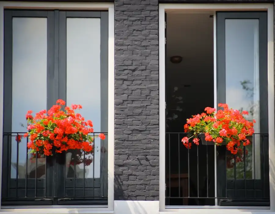 Red geraniums trailing from boxes on wrought-iron Juliet balconies