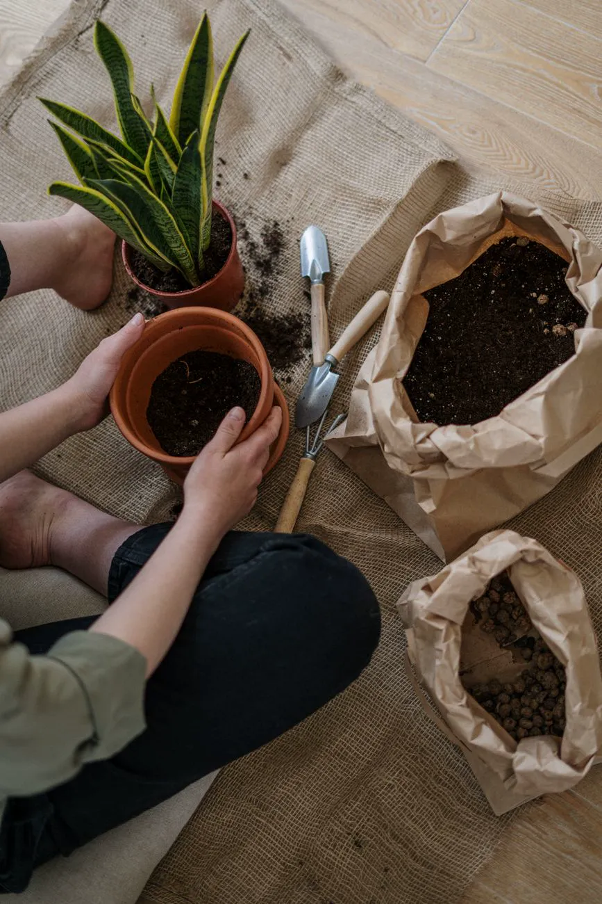 Hands filling fabric with potting mix and planting a small plant