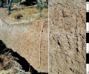 How to Improve Clay Soil