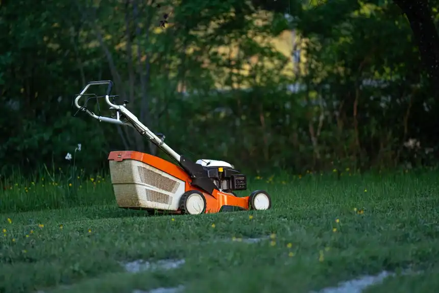 Petrol lawn mower standing on a green garden lawn
