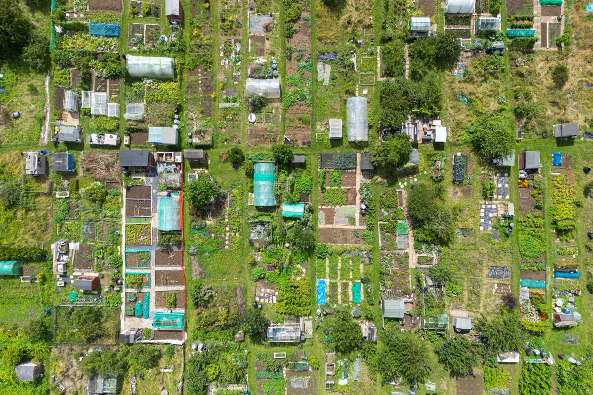 Allotment site seen from above with many small differently planted plots
