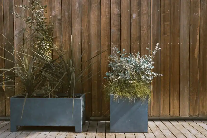 Two modern grey trough planters of grasses on a timber deck