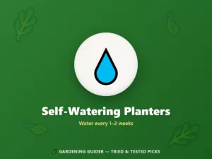 Self-Watering Planters